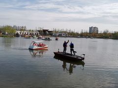 -上海长兴岛郊野公园