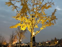 -大雁塔文化休闲景区-北广场