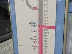 -大龙山(地铁站)