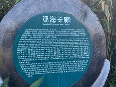 -海南铜鼓岭景区