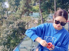 -铁山坪森林公园