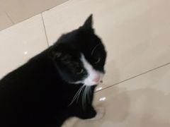 -微光私人影院(巴南万达店)