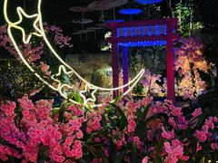 -海口观澜湖火山温泉谷