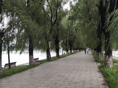 -北陵公园