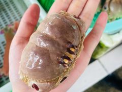 -外伶仃岛海鲜市场