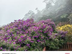 -广州市石门国家森林公园