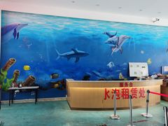 -黄金海岸水上乐园