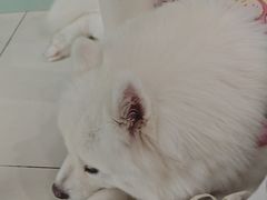 -怪兽屋·羊驼·猫咖·狗咖(俊华广场店)