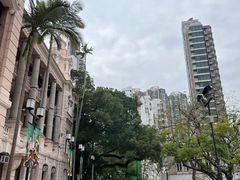 -香港大学