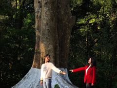 -广西壮族自治区药用植物园