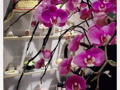 -璞·澐间影院式足道SPA(尚悦湾店)