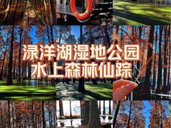 -渌洋湖湿地公园
