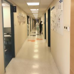 -杭州贝瑞斯美华妇儿医院·早孕·产检·儿科