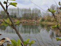 -桤木河湿地公园