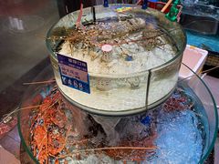 -强记海鲜·大排档(蛇口新街店)