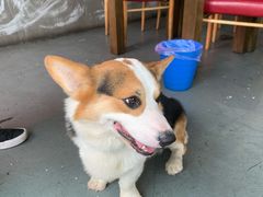 -阿尔法海鲜排档(爱琴海店)