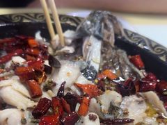 -金三可市井水煮鱼(金碧园店)