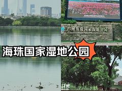 -海珠湖公园