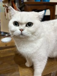 -兮奈ネイル美甲美睫·皮肤管理