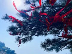 -泰山风景名胜区