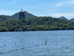 -杭州西湖柳莺里酒店·闻莺厅