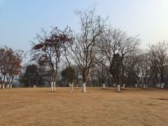 -盘龙城国家考古遗址公园