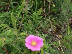 -沈阳辉山风景区