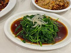 白灼芥兰苗-红杏酒家(凤凰店)
