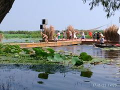 -洪湖生态旅游区