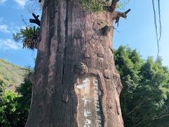 -青青世界