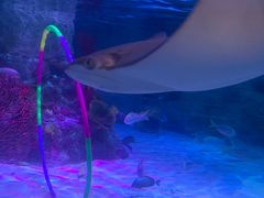 -沈阳海洋探索中心