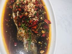 -杨氏青龙虾·羊蝎子(金盛路总店)