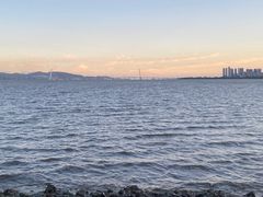-深圳湾公园(南山区)