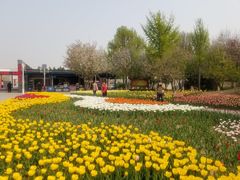 -石家庄市植物园