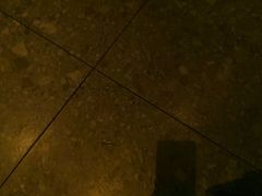 -湖锦酒楼·旗舰店(三阳总店)