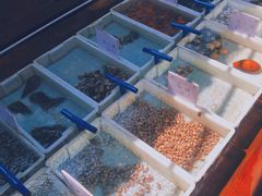 -蓝湾碧波·老字号·疍家非遗海上餐厅