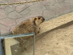 -汕头蓝水星欢乐世界