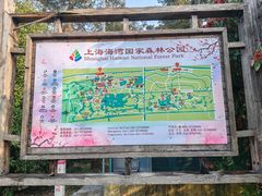-上海海湾国家森林公园