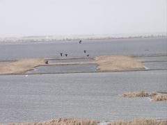 -卧龙湖