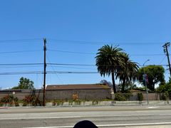-In-N-Out Burger(LAX)