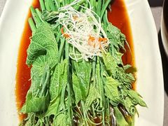 白灼丝瓜尖-三江里·宜宾川菜(亚运村店)