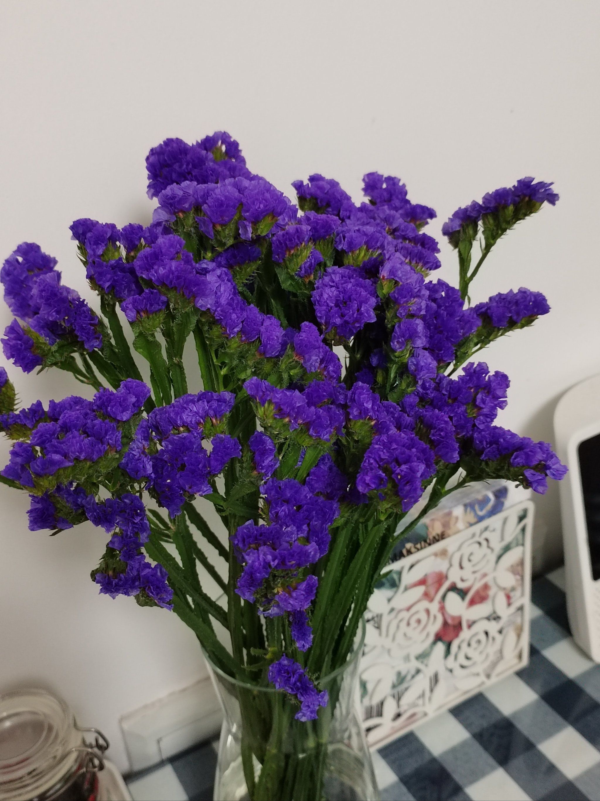 喜欢勿忘我喜欢他花期长久,喜欢勿忘我的花名,喜欢勿忘我的花语,喜欢