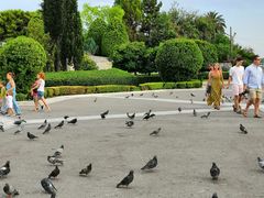 -宪法广场