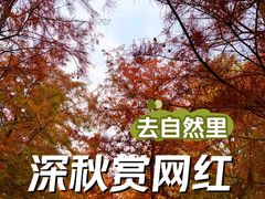 -上海海湾国家森林公园