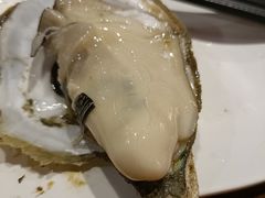 -烧蠔帮·湛江生蚝(南桥店)