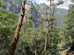 -雁荡山三折瀑景区