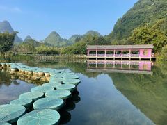 -靖西鹅泉风景区