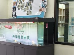 -天宠宠物医院24小时·急重症诊疗中心·全科·腔镜特色(和平分院)