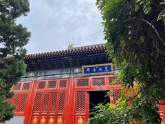 -北京艺术博物馆(万寿寺)