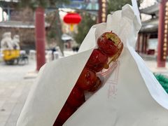 -糖葫芦王保定名吃(古莲花池店)